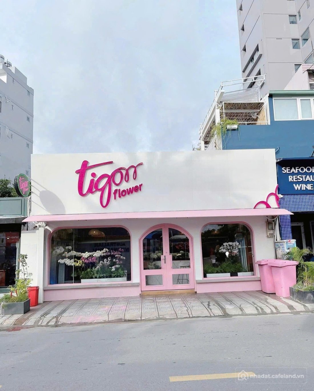 Bất động sản tại Tuyên Quang - ảnh 1
