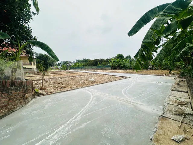 Bất động sản tại Phú Thọ - ảnh 1