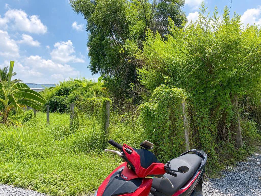 Bất động sản tại Long An - ảnh 1