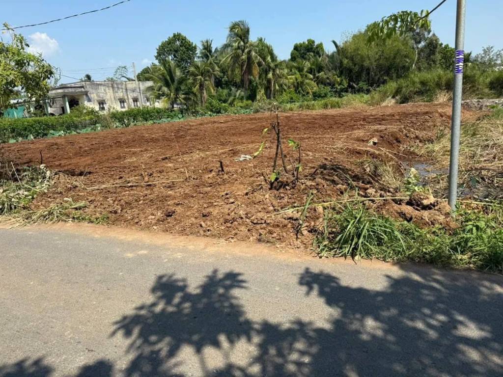 Bất động sản tại Long An - ảnh 1