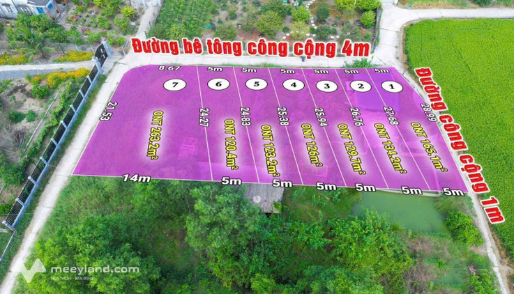 Bất động sản tại Long An - ảnh 1