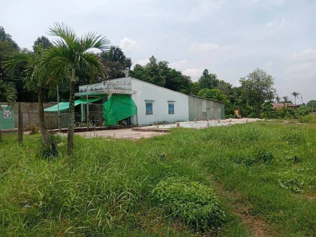 Bất động sản tại Long An - ảnh 1