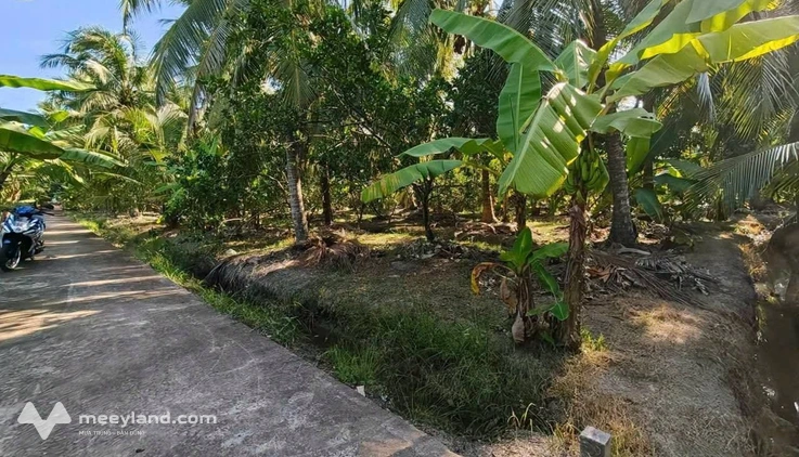 Bất động sản tại Cà Mau - ảnh 1
