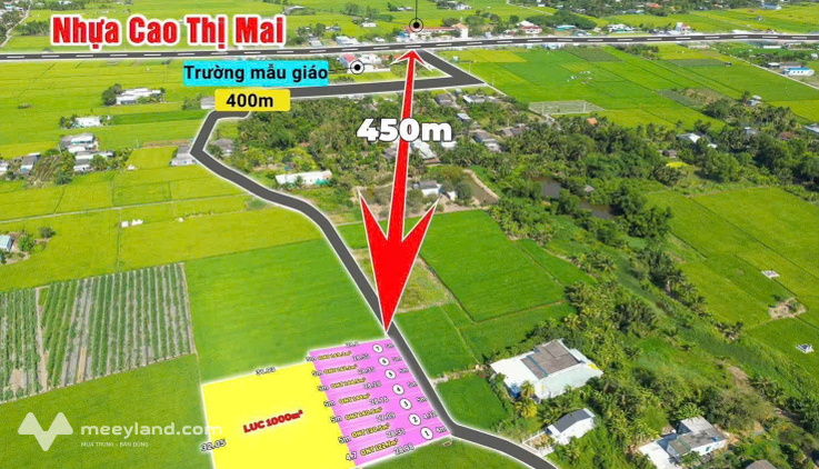 Bất động sản tại Long An - ảnh 1