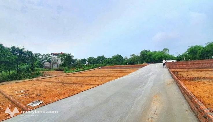 Bất động sản tại Vĩnh Phúc - ảnh 1