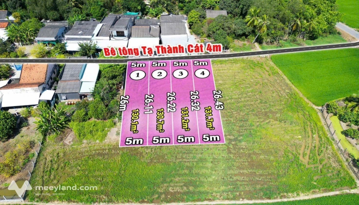 Bất động sản tại Long An - ảnh 1