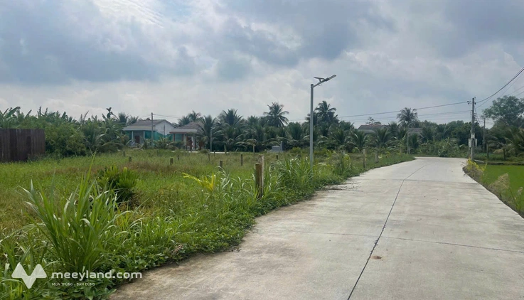 Bất động sản tại Long An - ảnh 1