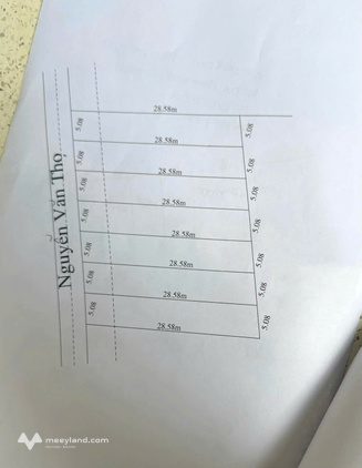 Bất động sản tại Long An - ảnh 1