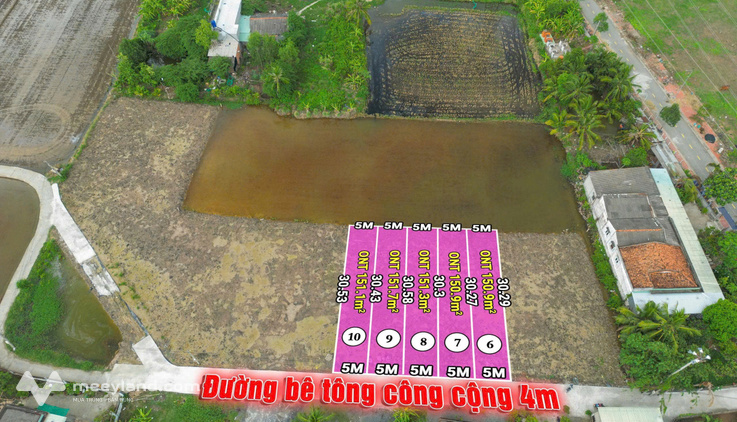 Bất động sản tại Long An - ảnh 1