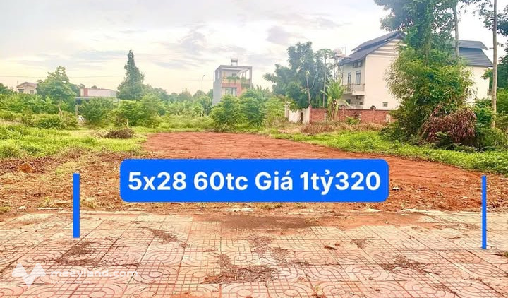 Bất động sản tại Bà Rịa - Vũng Tàu - ảnh 1
