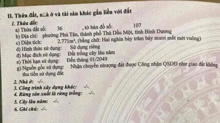 Bất động sản tại Bình Dương - ảnh 1