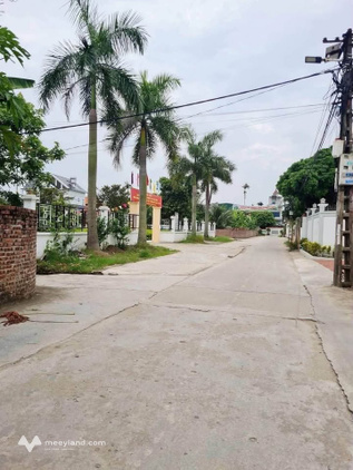 Bất động sản tại Hải Dương - ảnh 1