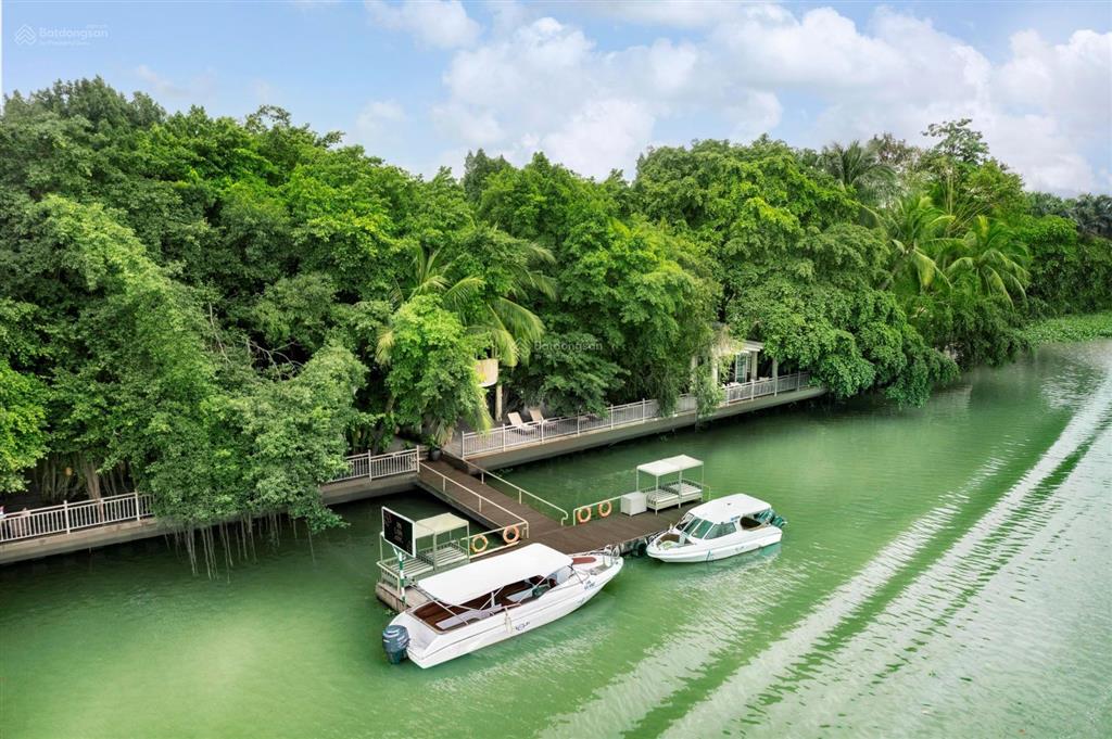 Bất động sản tại Bình Dương - ảnh 1