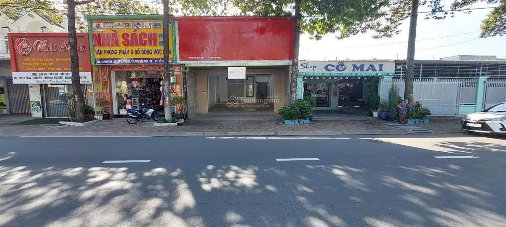 Bất động sản tại Bình Dương - ảnh 1