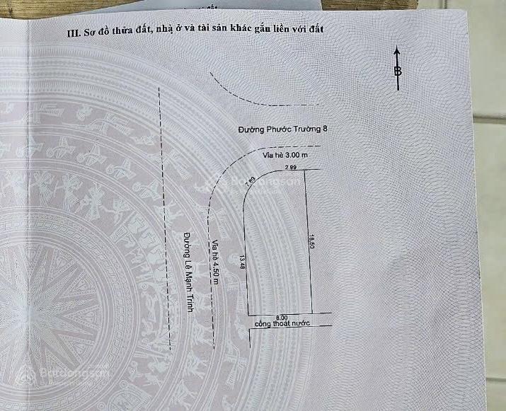 Bất động sản tại Đà Nẵng - ảnh 1