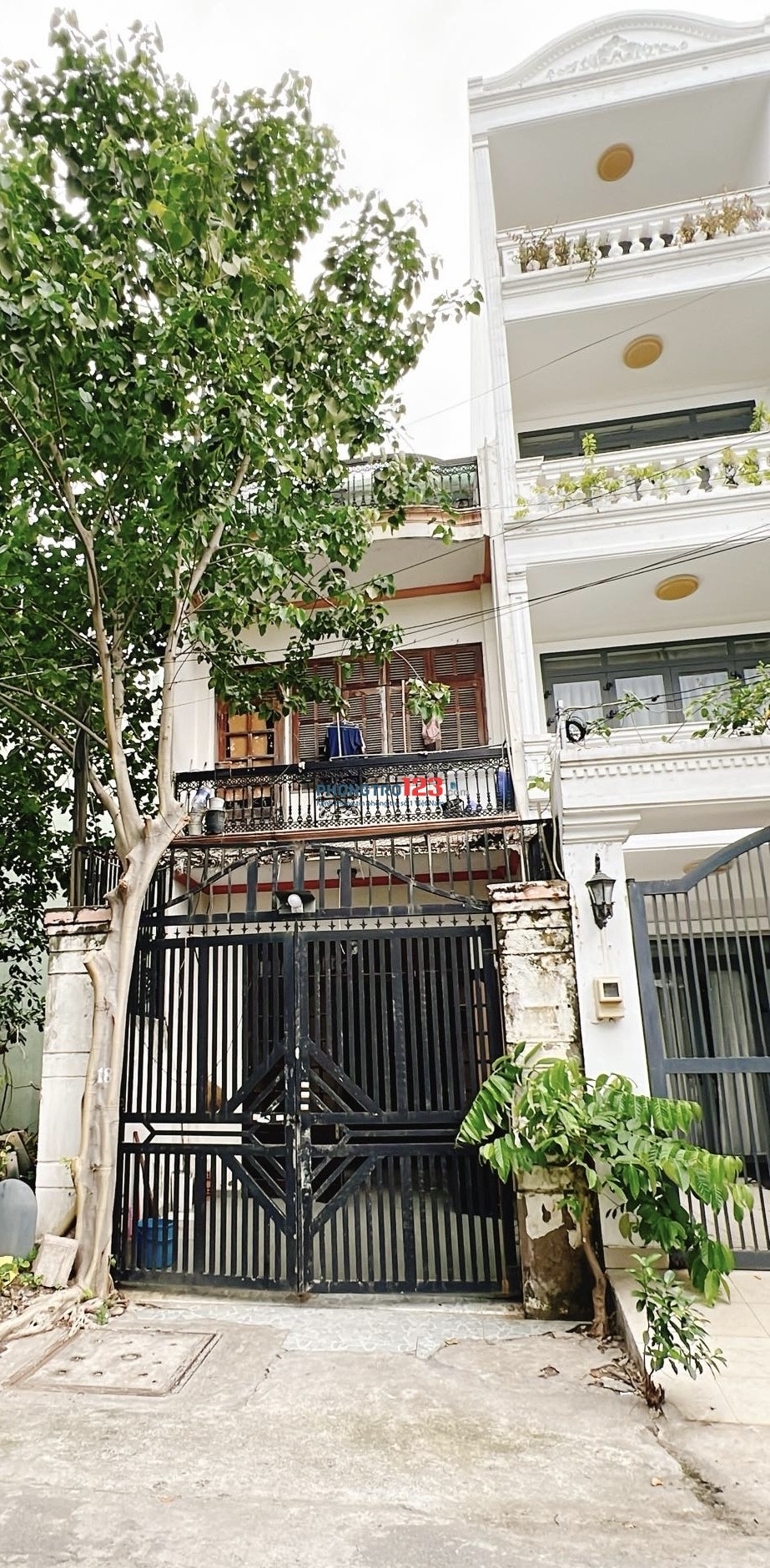 Bất động sản tại TP. Hồ Chí Minh - ảnh 1