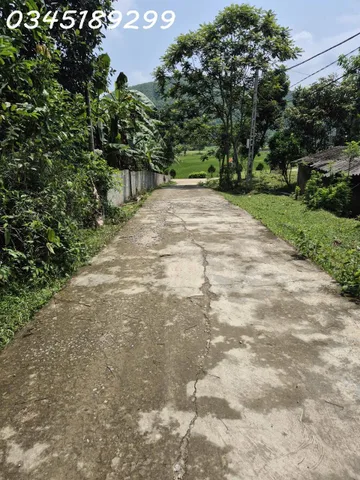 Bất động sản tại Phú Thọ - ảnh 1