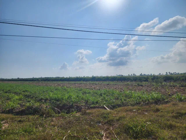 Bất động sản tại Cần Thơ - ảnh 1