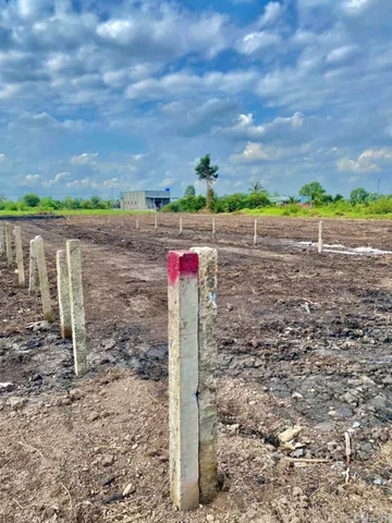 Bất động sản tại Long An - ảnh 1