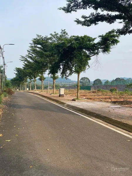 Bất động sản tại Đồng Nai - ảnh 1