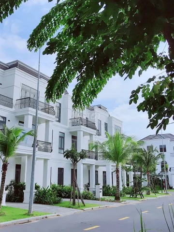 Bất động sản tại Long An - ảnh 1