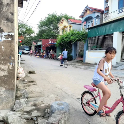 Bất động sản tại Hưng Yên - ảnh 1