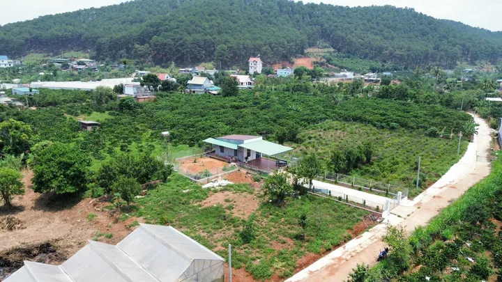 Bất động sản tại Lâm Đồng - ảnh 1