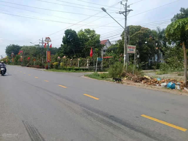 Bất động sản tại Bình Dương - ảnh 1