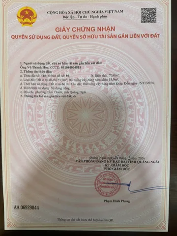 Bất động sản tại Quảng Ngãi - ảnh 1