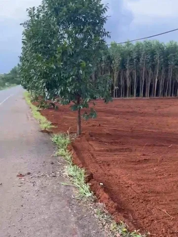 Bất động sản tại Bà Rịa - Vũng Tàu - ảnh 1