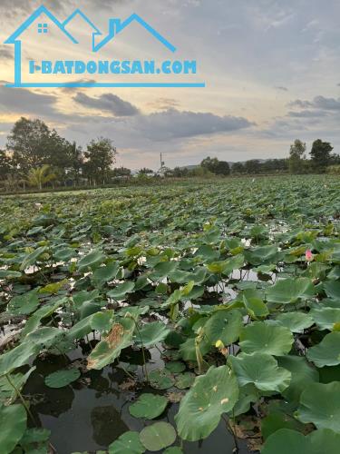 Bất động sản tại Bình Thuận - ảnh 1