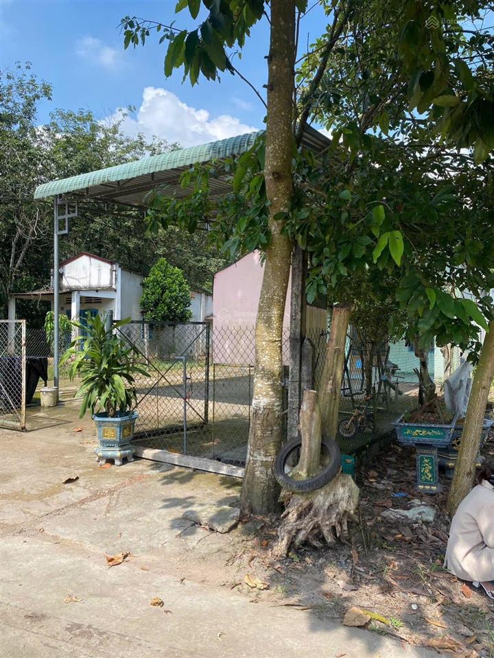 Bất động sản tại Bình Dương - ảnh 1