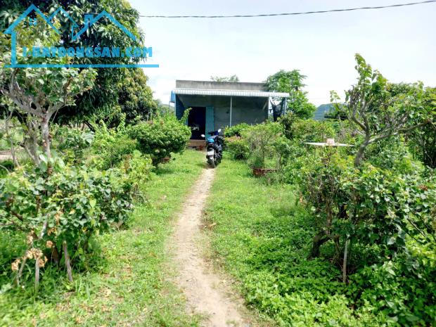 Bất động sản tại Bình Thuận - ảnh 1