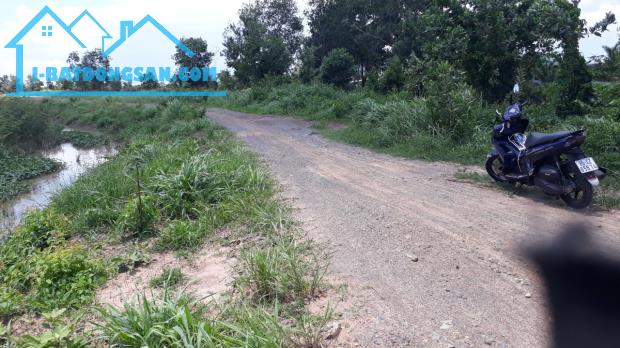 Bất động sản tại Bình Thuận - ảnh 1