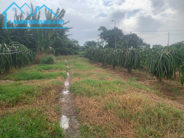 Bất động sản tại Bình Thuận - ảnh 1