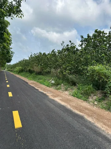 Bất động sản tại Bình Dương - ảnh 1