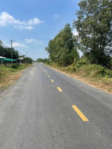 Bất động sản tại Long An - ảnh 1