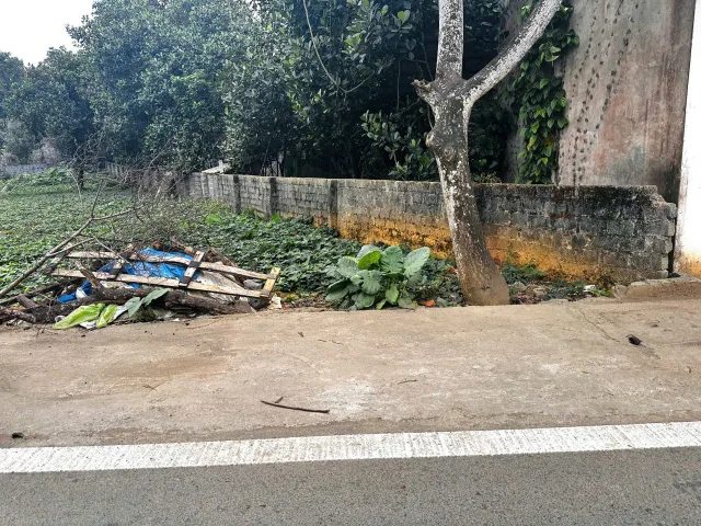 Bất động sản tại Phú Thọ - ảnh 1