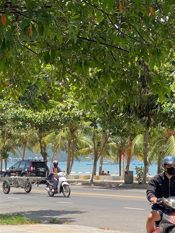 Bất động sản tại Đà Nẵng - ảnh 1
