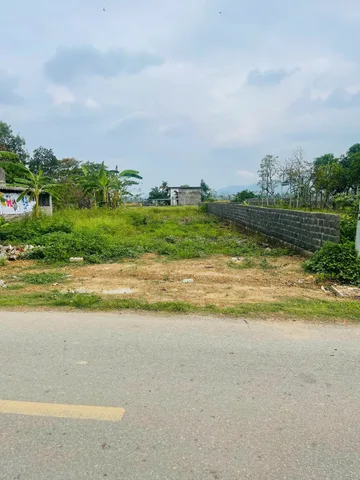 Bất động sản tại Phú Thọ - ảnh 1