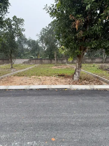 Bất động sản tại Phú Thọ - ảnh 1
