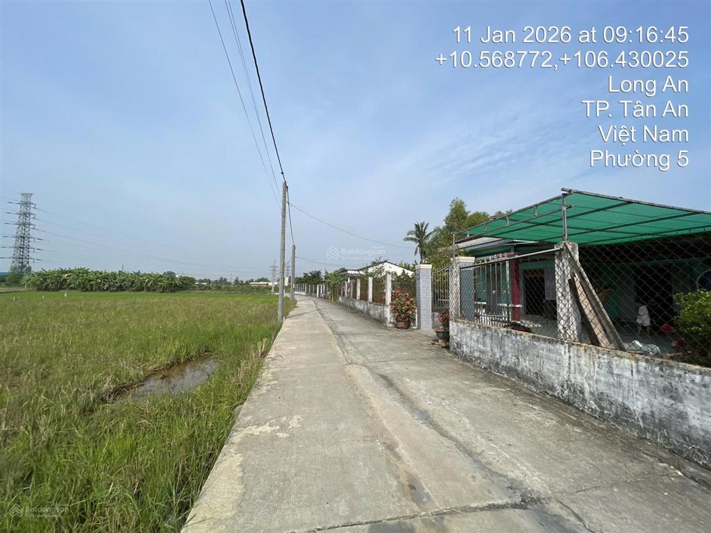 Bất động sản tại Long An - ảnh 1