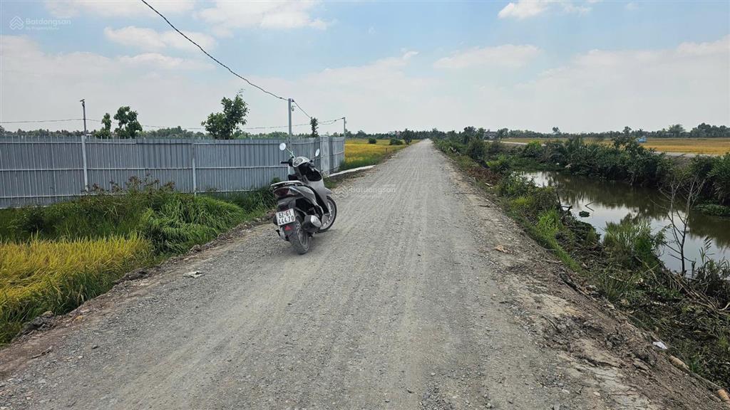 Bất động sản tại Long An - ảnh 1