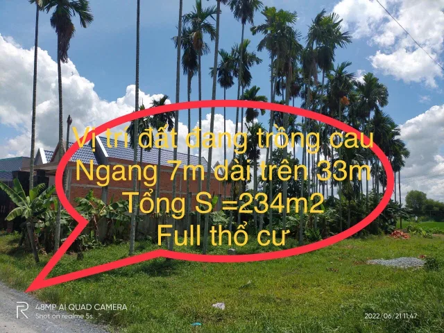 Bất động sản tại Tây Ninh - ảnh 1