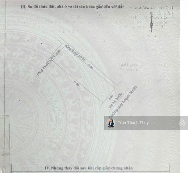 Bất động sản tại Đà Nẵng - ảnh 1