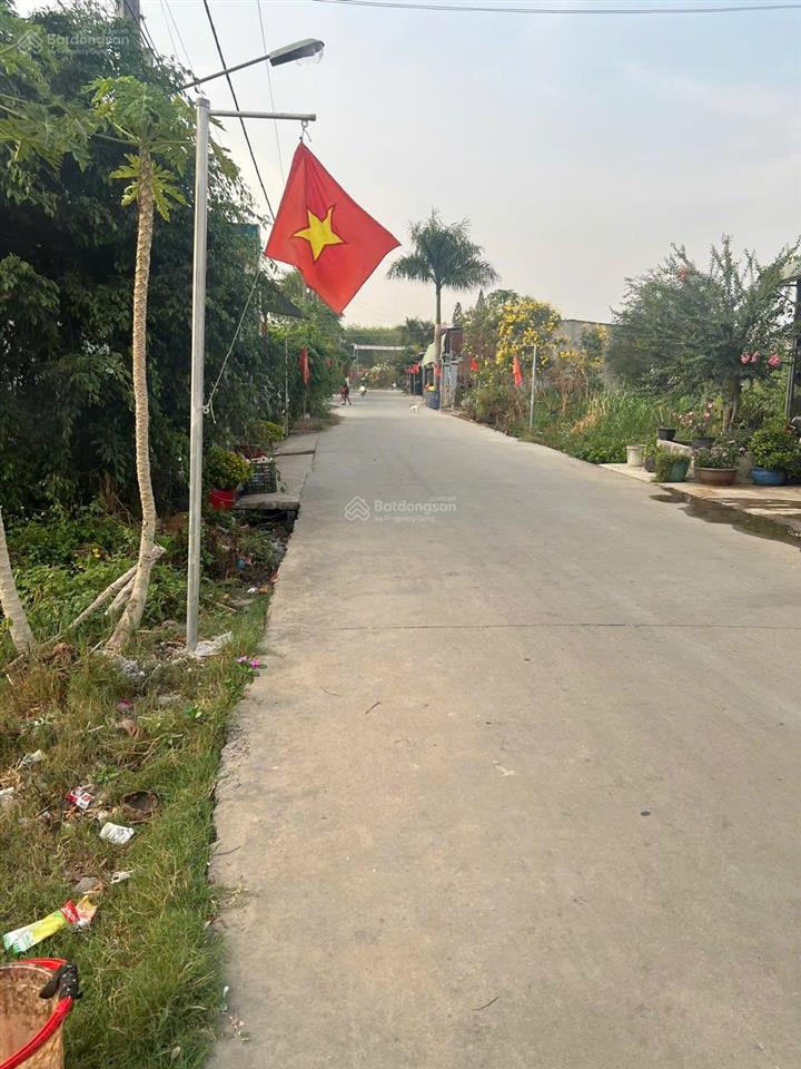 Bất động sản tại Bình Dương - ảnh 1
