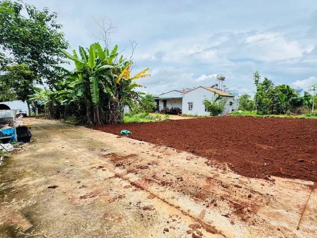 Bất động sản tại Đắk Lắk - ảnh 1