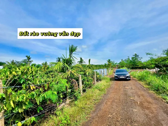 Bất động sản tại Đắk Lắk - ảnh 1