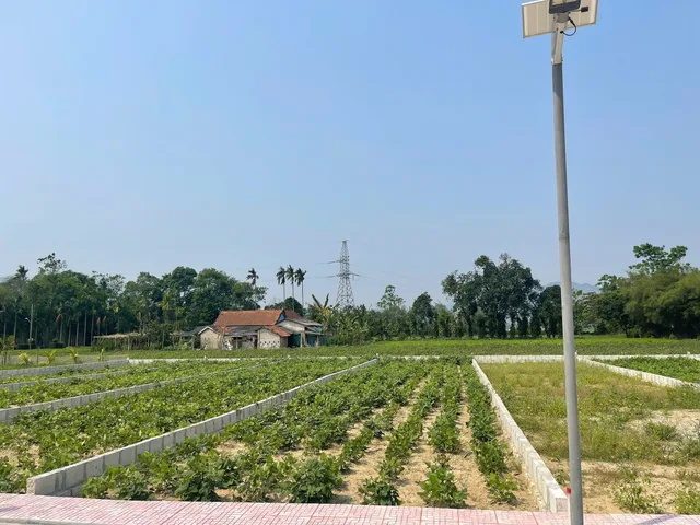 Bất động sản tại Thừa Thiên Huế - ảnh 1