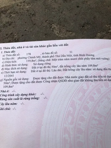 Bất động sản tại Bình Dương - ảnh 1